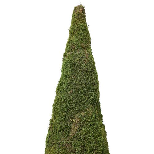 Artikel Weihnachtsbaum Moosbaum Deko in Grün Natur Ø25cm H70cm