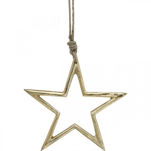 Floristik24 Weihnachtsdeko Stern, Adventsdeko, Stern Anhänger Golden B15,5cm