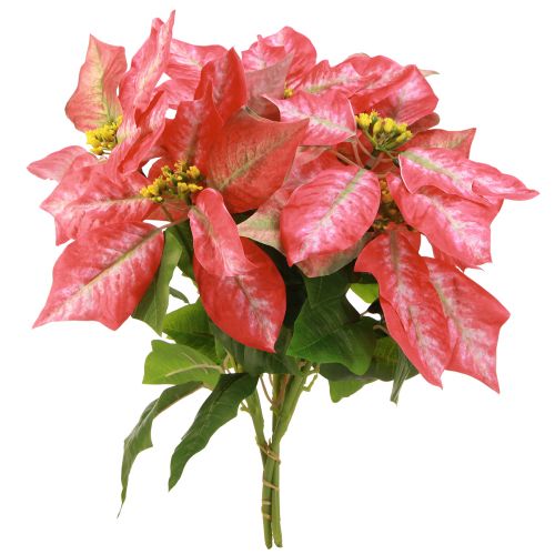 Artikel Weihnachtsstern Künstlich Rot Rosa L35cm 6St 2 Bund