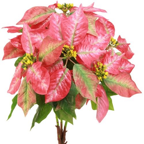 Artikel Weihnachtsstern Rot Rosa Christstern Künstlich L53cm
