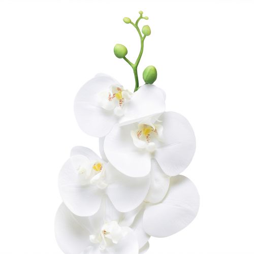Artikel Weiße Orchidee Künstlich Phalaenopsis Real Touch 85cm
