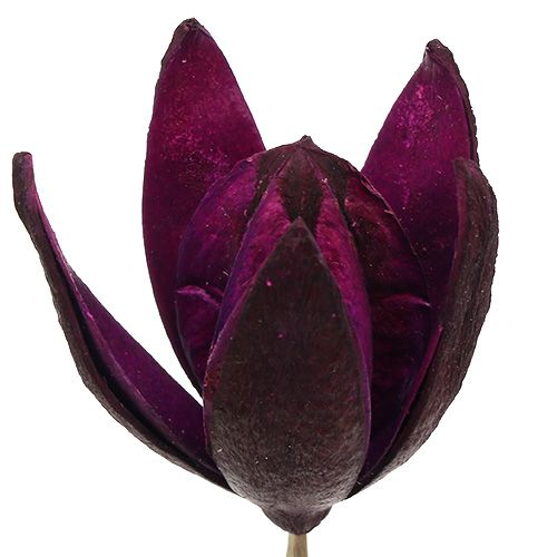 Floristik24 Wildlilie zum Dekorieren am Stiel Mix Rosa, Erika 45 St