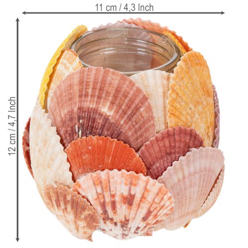 Teelichthalter maritim Windlicht echte Muscheln Deko für Badezimmer Urlaubstimmung 12cm | Floristik24.de