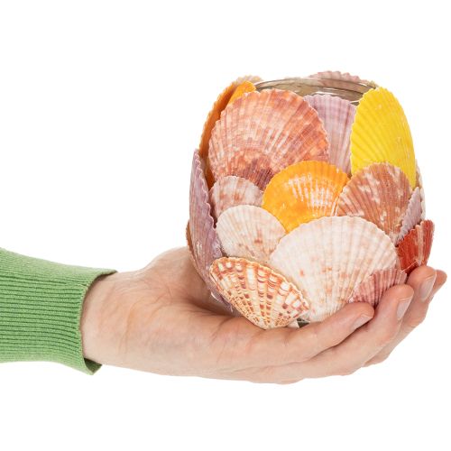 Teelichthalter maritim Windlicht echte Muscheln Deko für Badezimmer Urlaubstimmung 12cm | Floristik24.de