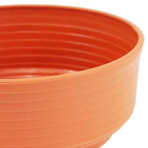 Artikel Z-Schale Plastik Ø 16cm - 22cm 10 St