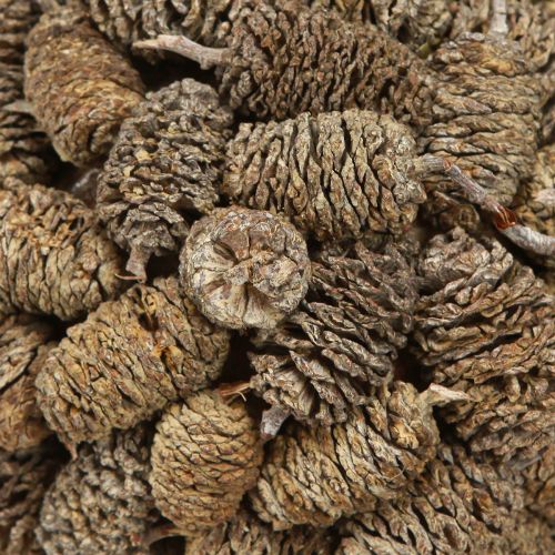 Artikel Zapfenkugel zum Hängen Erlenzapfen Weiß gewaschen 12cm