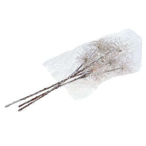 Artikel Zaubernuss Zweig Champagner 45cm 3 St