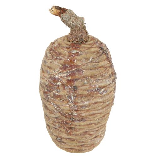 Artikel Zedernzapfen Zapfen Deko Zeder Natur 9-10,5cm 3 St