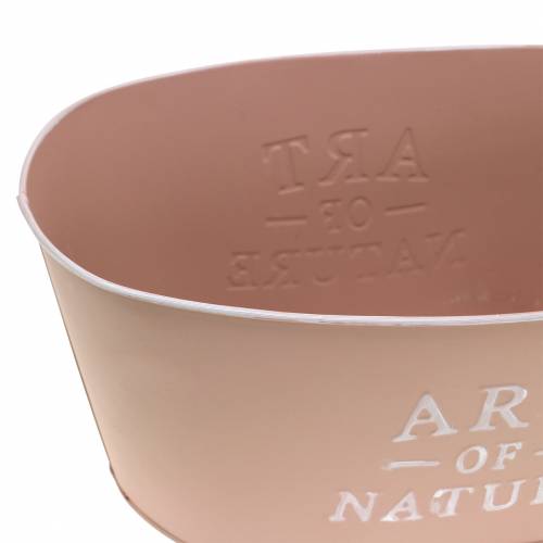 Artikel Blumenschale oval Zink Altrosa Übertopf 27×18cm H12,5cm