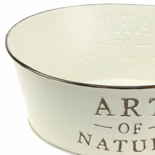 Floristik24 Blumenschale rund Zink Creme Ø25cm H9cm