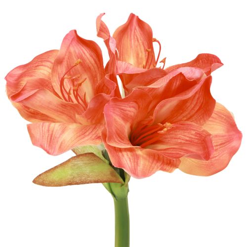 Artikel Amaryllis Deko Blumen in Orange Künstlich L55cm 2St