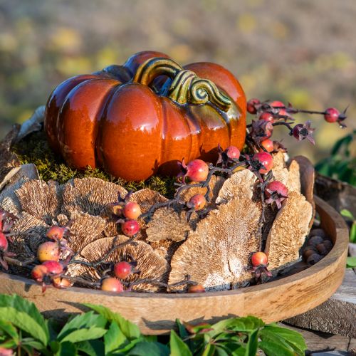 Artikel Baumschwamm Natur Deko Pilze getrocknet 6cm 1kg