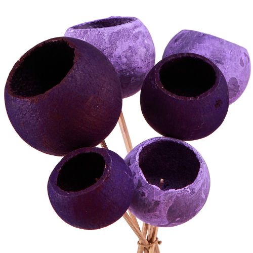 Artikel Bell Cup am Stiel Exotische Trockendeko Lila Berry 44cm 15 St