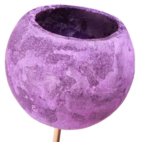Artikel Bell Cup am Stiel Exotische Trockendeko Lila Berry 44cm 15 St