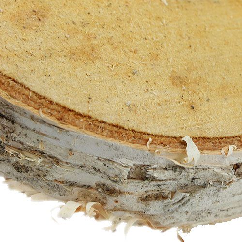Artikel Birkenscheiben rund Natur 10 St