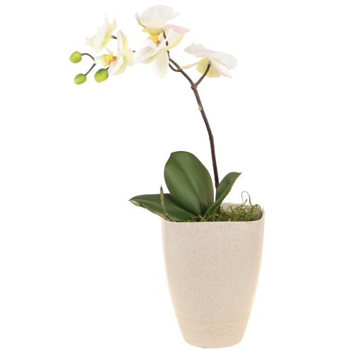 Artikel Orchideentopf Blumentopf Plastik Beige Meliert 13,5x13cm H16,5cm 4St