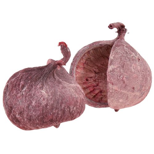 Floristik24 Buddha Nut Rot Weiß Getrocknet Natur Deko Ø5,5–9,5cm 5 St