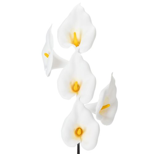 Calla am Draht klein Weiß 50 St kaufen | Floristik24.de