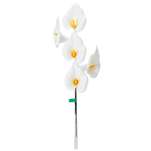 Calla am Draht klein Weiß 50 St | Floristik24.de