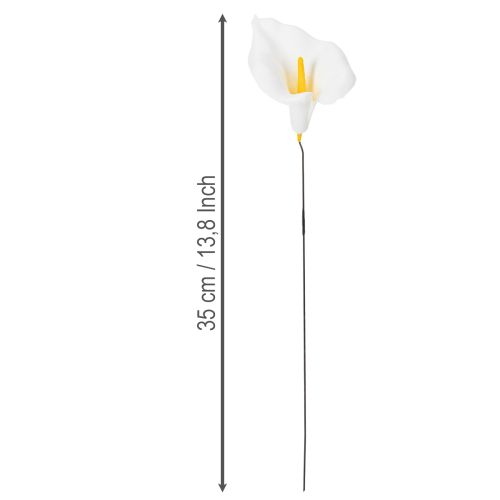 Calla am Draht klein Weiß 50 St | Floristik24.de