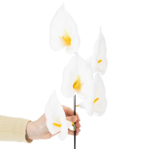 Artikel Calla am Draht klein Weiß 50 St