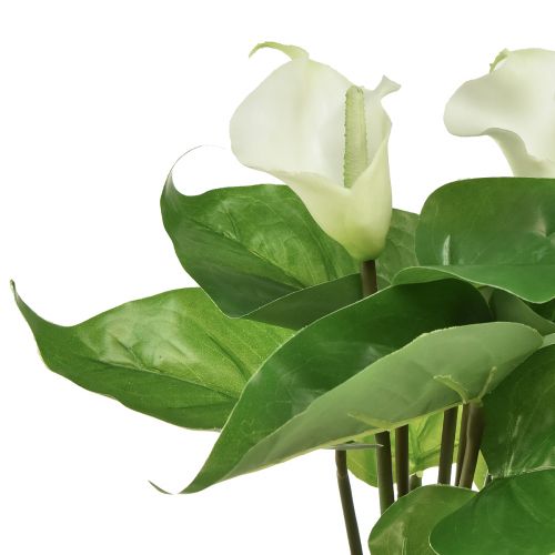 Artikel Calla Lilie Kalla Kunstblumen Weiß Exotische Blumen 34cm