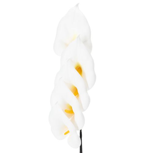 Calla mittel am Draht 50 St kaufen | Floristik24.de