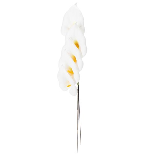 Calla mittel am Draht 50 St | Floristik24.de