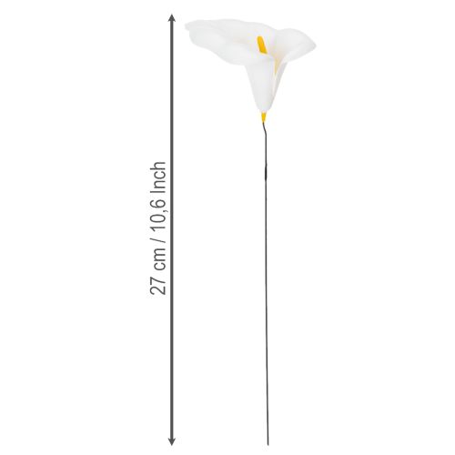 Calla mittel am Draht 50 St | Floristik24.de