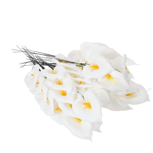 Calla mittel am Draht 50 St | Floristik24.de