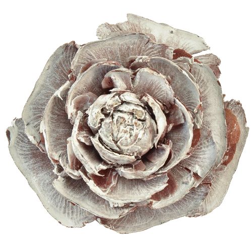 Artikel Zeder Zapfen geschnitten wie Rose Cedarrose 4-6cm weiß/natur 50 St