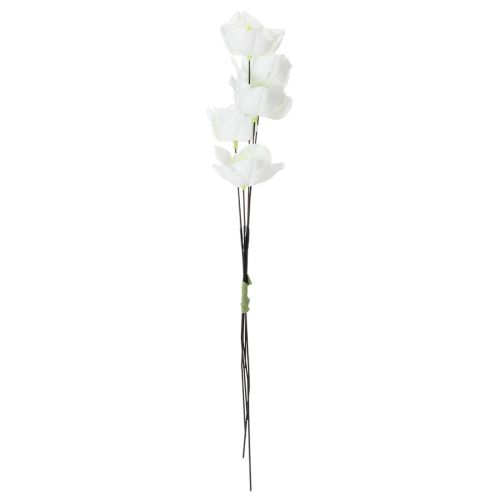 Christrose am Draht Weiß 50 St | Floristik24.de