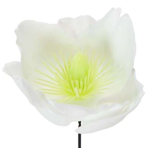 Christrose am Draht Weiß 50 St | Floristik24.de