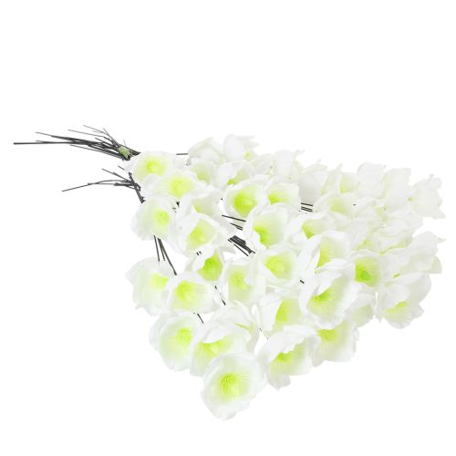 Christrose am Draht Weiß 50 St | Floristik24.de