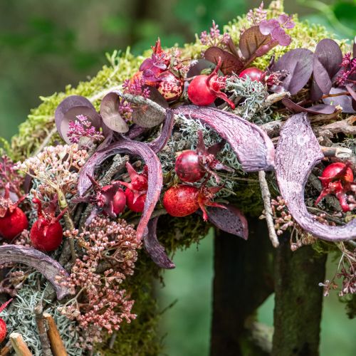 Artikel Deko Moos zum Basteln Hellgrün Naturmoos konserviert 150g