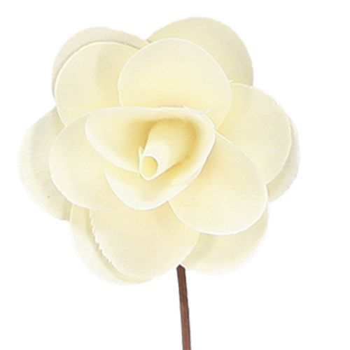 Floristik24 Deko Rosen Creme Künstliche Rosen aus Holz Ø7cm 12 St