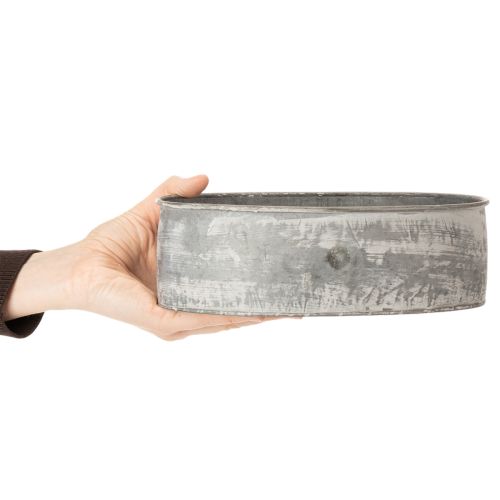 Artikel Dekoschale Metall Steckschale Oval Grau L22,5/19,5/16cm 3er-Set