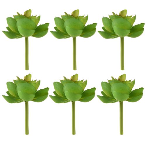 Artikel Echeveria Künstliche Sukkulenten Grün Ø7cm 6 St