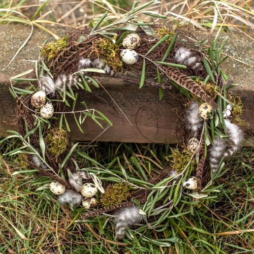 Floristik24 Fasanenfedern Deko Echte Federn Natur 40cm 9 St