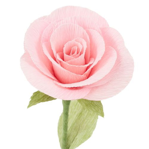 Artikel Floristen-Krepppapier Floristenkrepp Rosa 50×250cm 5St