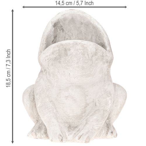 Artikel Frosch Deko Pflanztopf Blumentopf Beton Grau H18,5cm