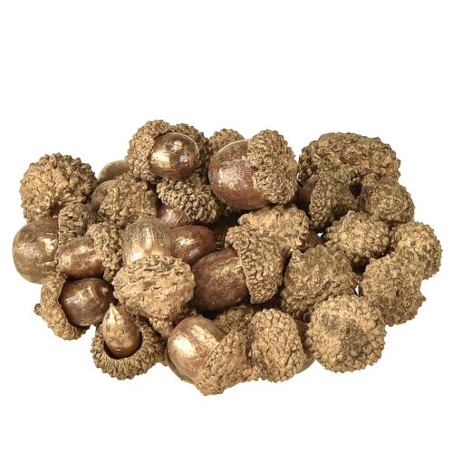 Herbstfrüchte Golden, festlicher Herbstschmuck, Deko-Eicheln natürlich, Adventsdeko Ø1,5 – 2,5cm L1,5 – 3cm 300g