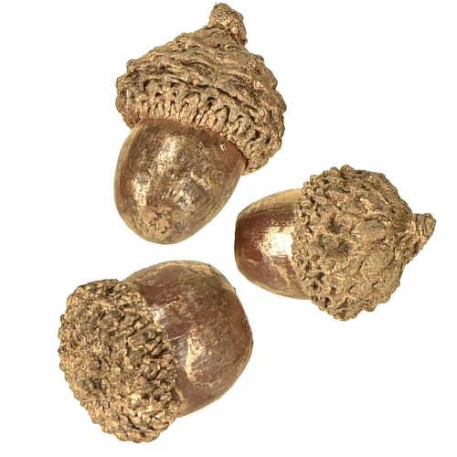 Floristik24 Herbstfrüchte Golden, festlicher Herbstschmuck, Deko-Eicheln natürlich, Adventsdeko Ø1,5 – 2,5cm L1,5 – 3cm 300g