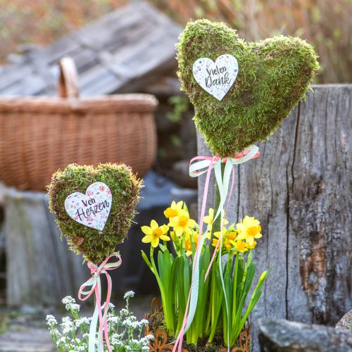 Artikel Herz-Pflanzenstecker mit Botschaft – Deko für Blumen & Geschenke 7cm x 7cm 12 St