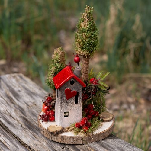 Artikel Holzscheiben Baumscheibe Paulownia Natur Ø26-28cm 3 St