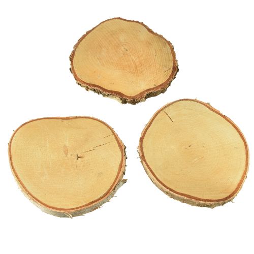 Floristik24 Holzscheiben Birkenholz mit Rinde Baumscheiben Ø20-22cm 3 St