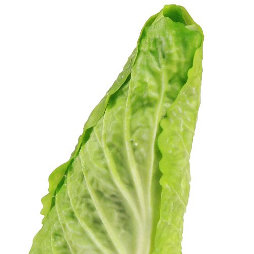 Artikel Künstlicher Spitzkohl Lebensmittelattrappe Ø5cm H18cm