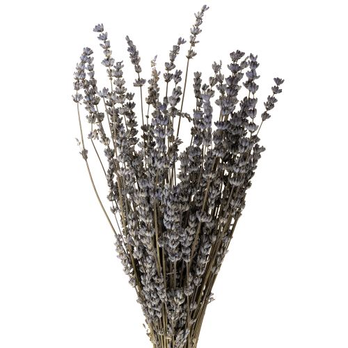 Artikel Lavendel getrocknet Duftende Trockenblumen 35-40cm 50g
