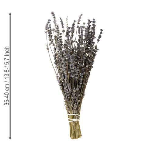 Artikel Lavendel getrocknet Duftende Trockenblumen 35-40cm 50g