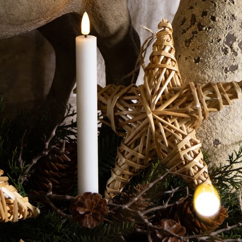 LED Kerzen Weiß Stabkerzen Wachs Warmweiß 24,5cm 2 St | Floristik24.de